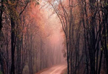 世界杯决赛主裁晒照:偏袒梅西? 看法国人在干啥!.