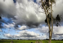 江南体育官网：【星光背后】把打球变成艺术，篮球在他手中有了生命.