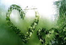 [图]库里伤退巴特勒三双送关键封盖 勇士险胜猛龙.