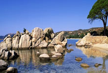 瓦塞尔:胜利当然是我们的目标 即使缺兵少将我们也能跟对手抗衡.